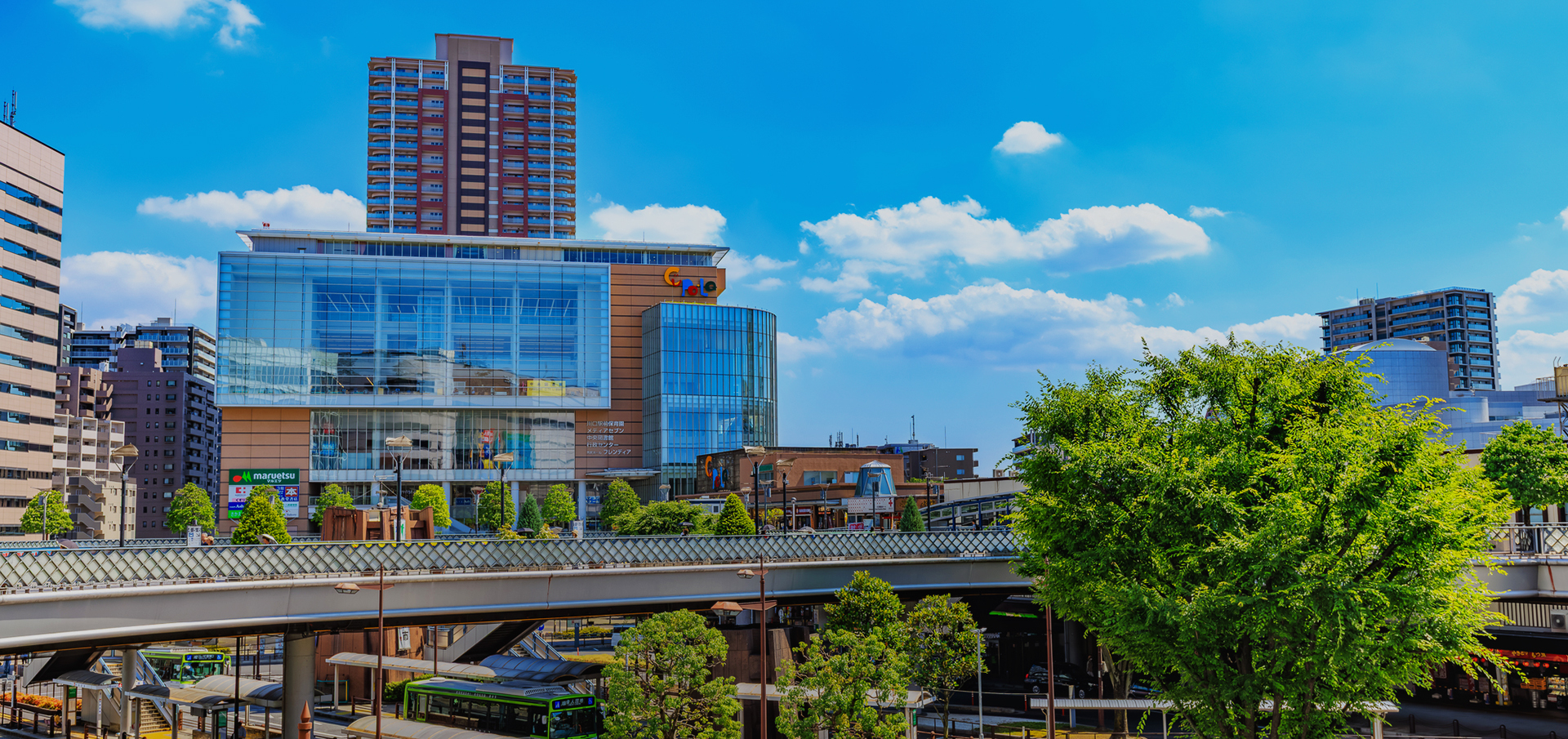 学校法人文化学園